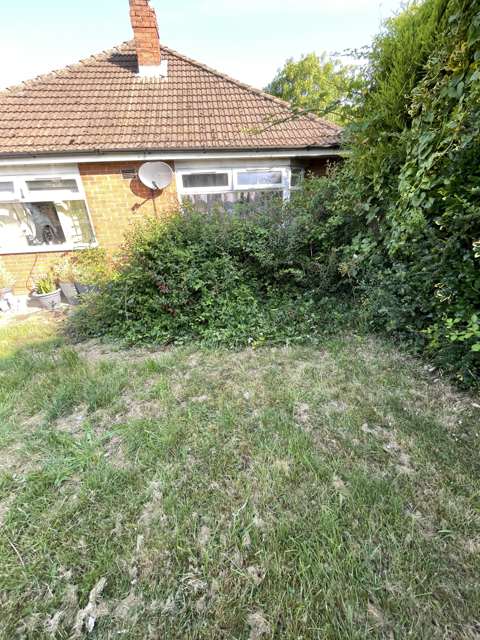 Overgrown lawn and hedge before work