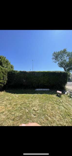 Hedge neatly trimmed